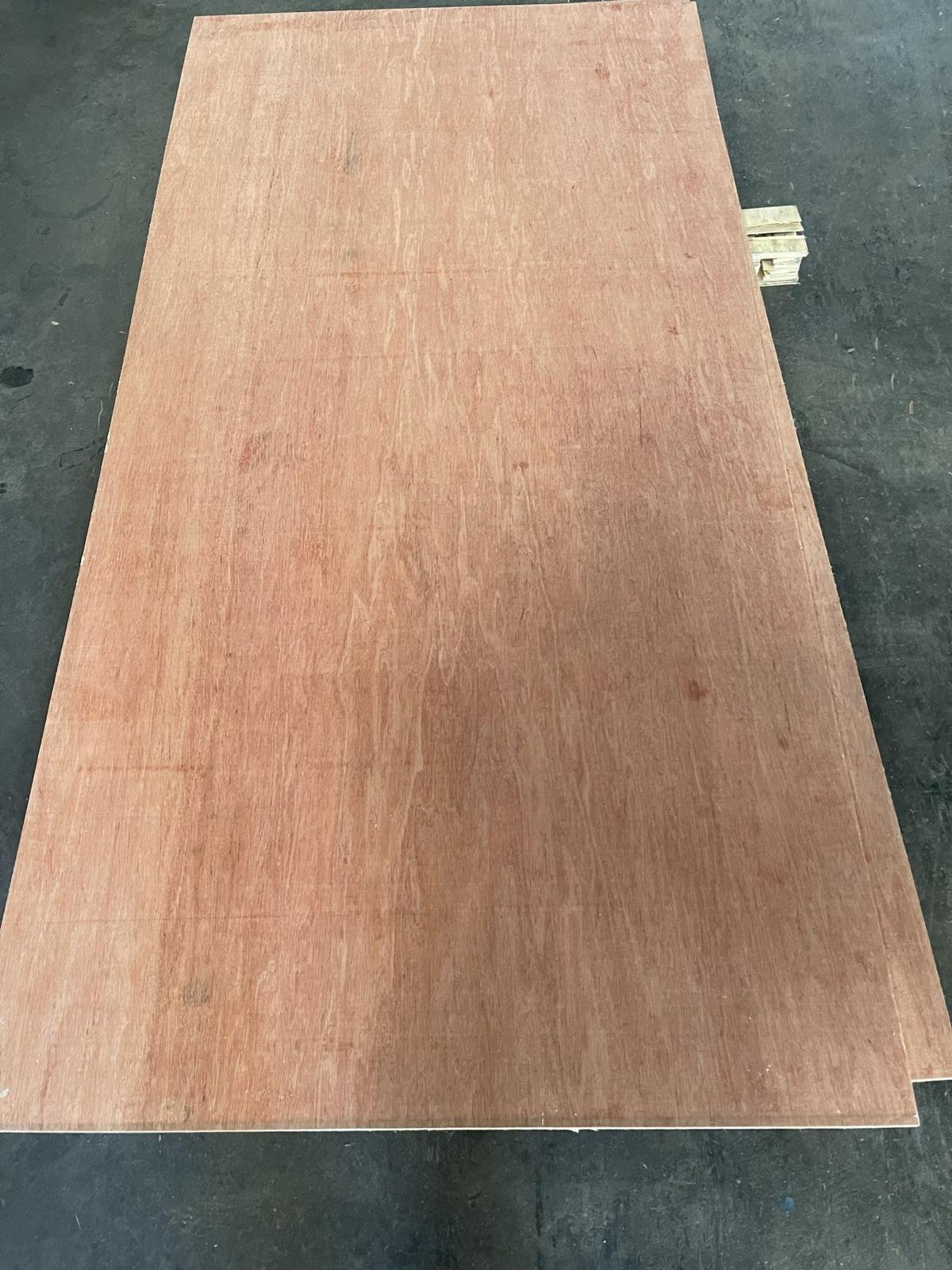 Bintangor face plywood