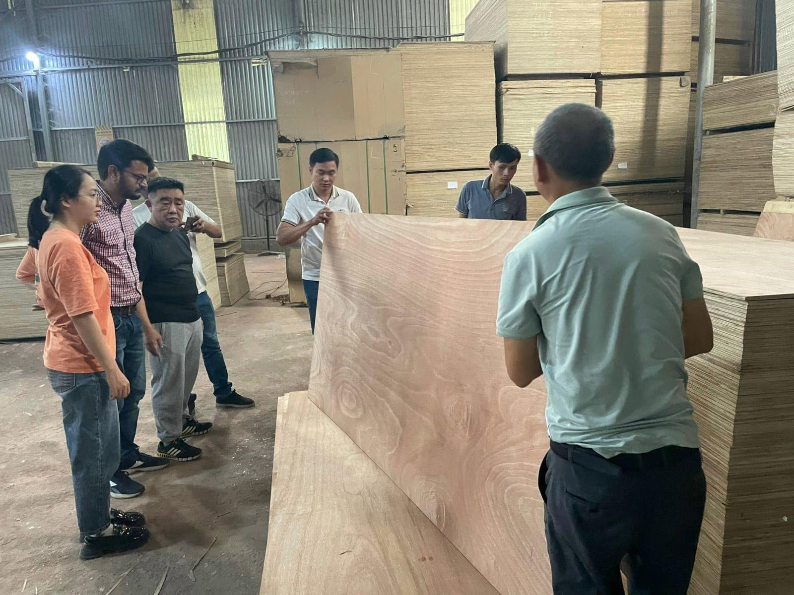 Panel inspection during a factory visit