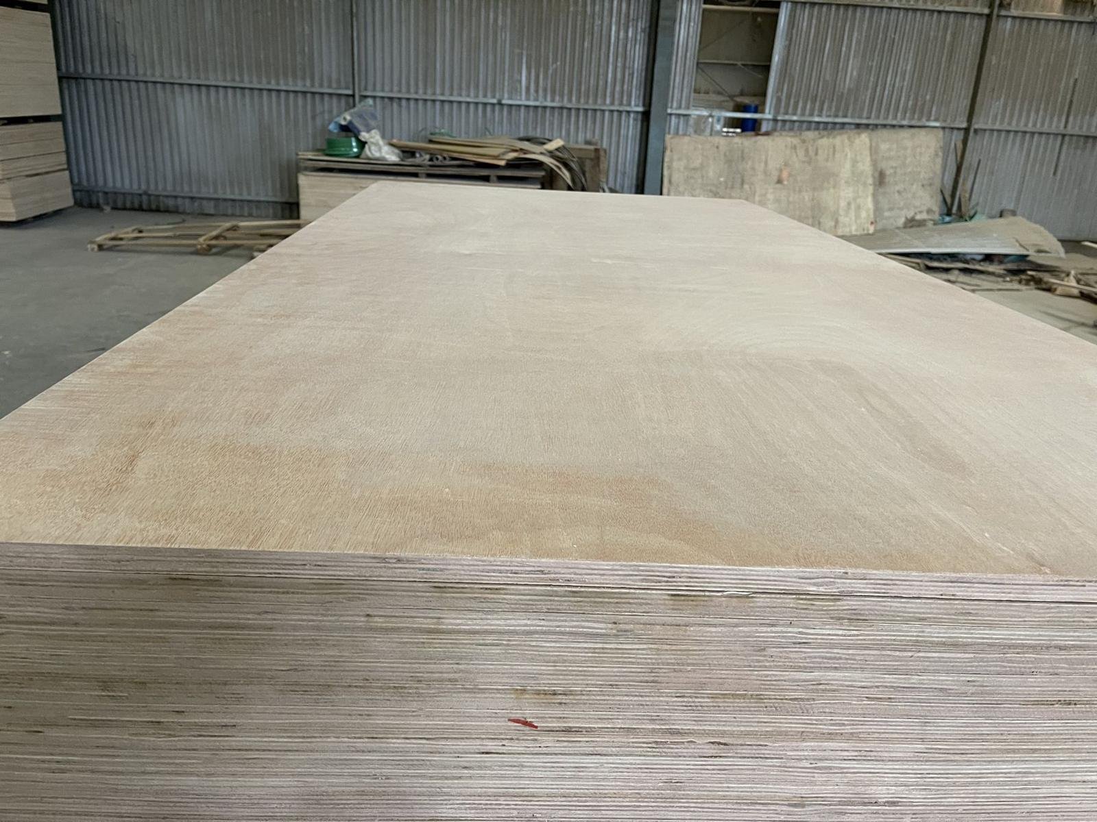 Commercial plywood