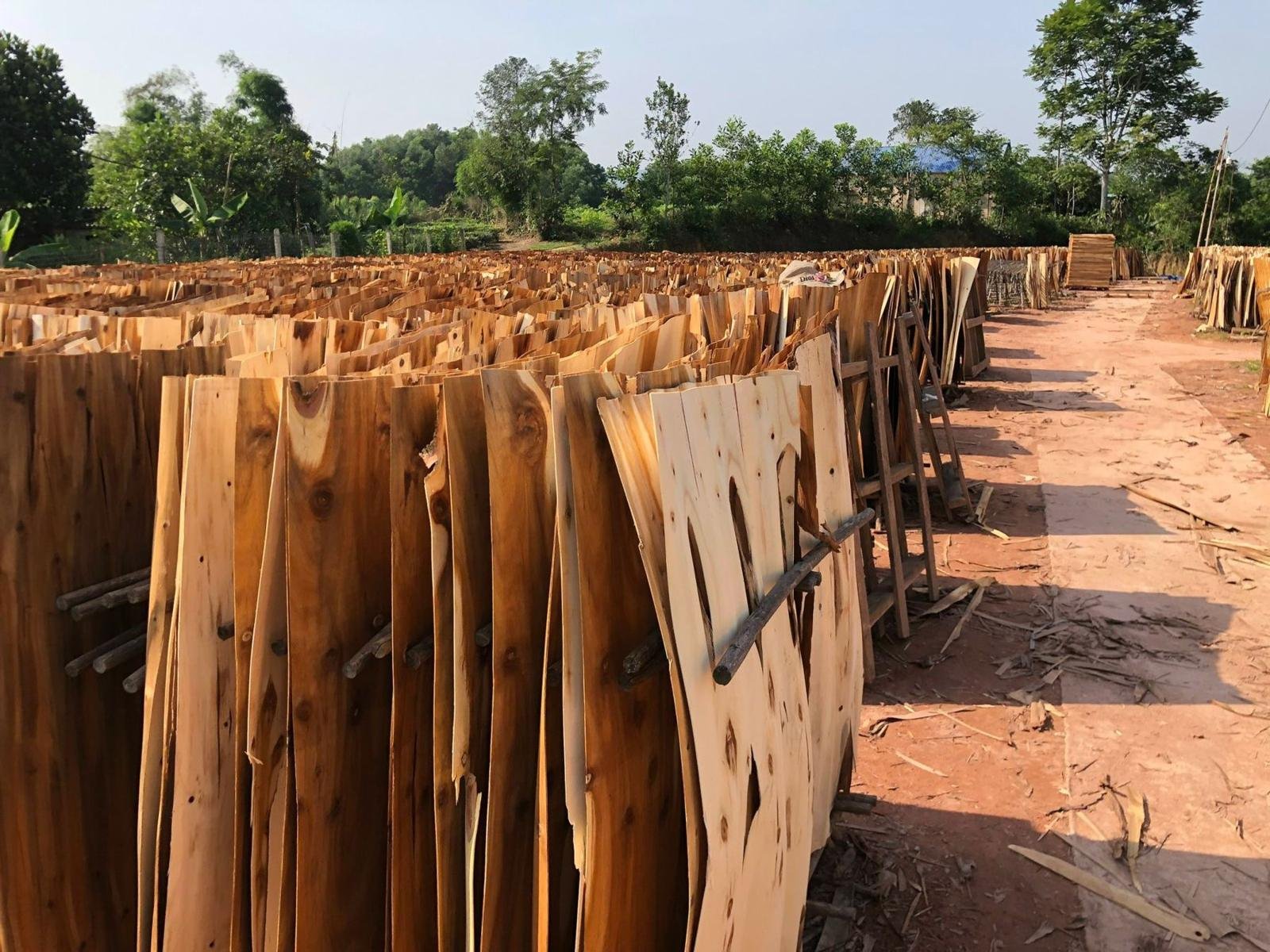 Veneer drying