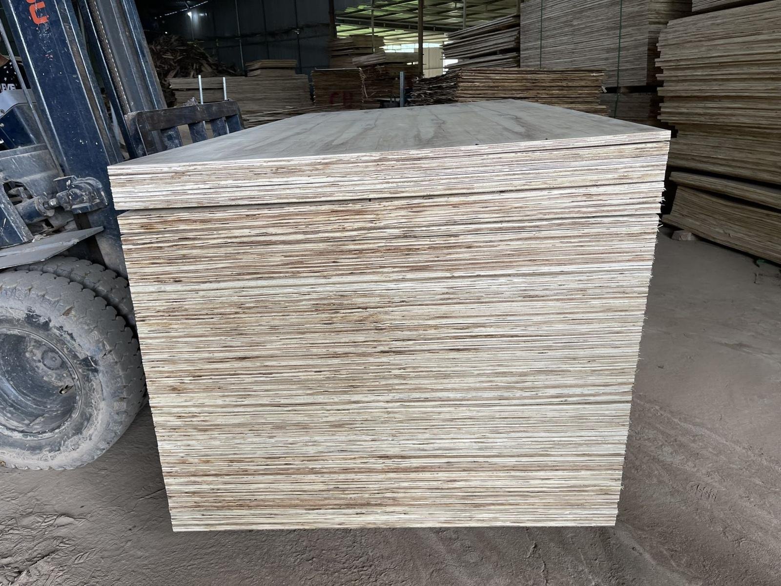 Loading: Packing plywood — 08/2023