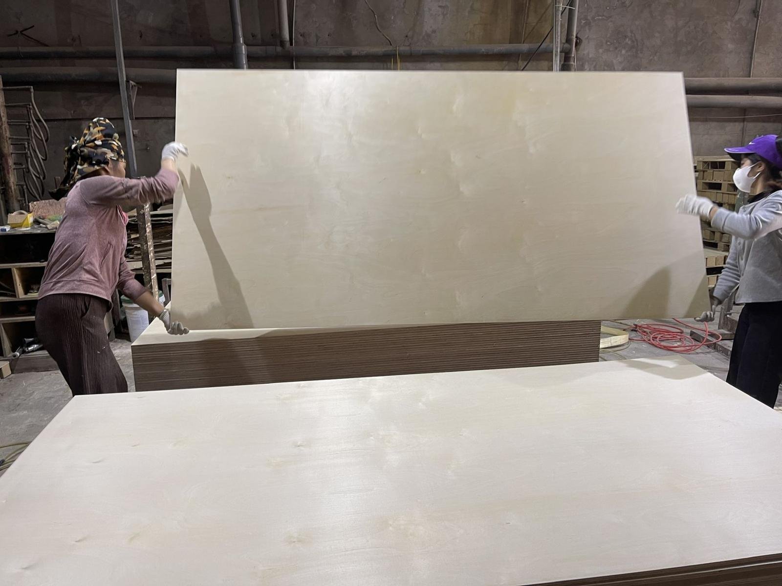 Partner factory team handling an 8x4 plywood panel