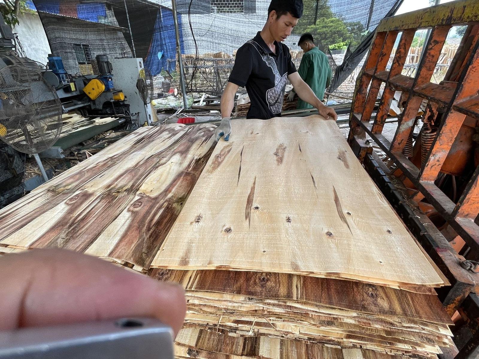 Graded veneer sheets